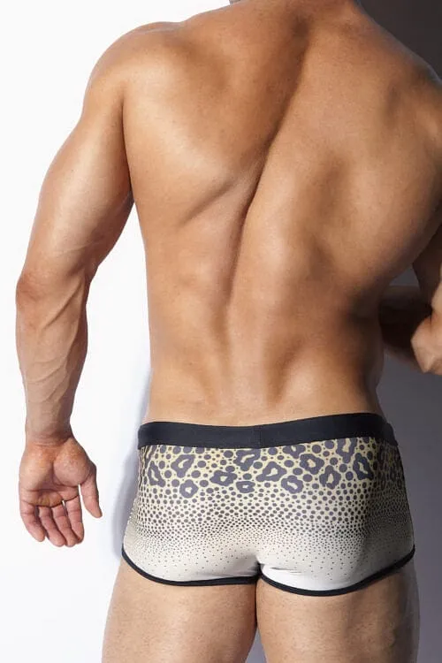 ALEXANDER COBB TRUNK LEOPARD