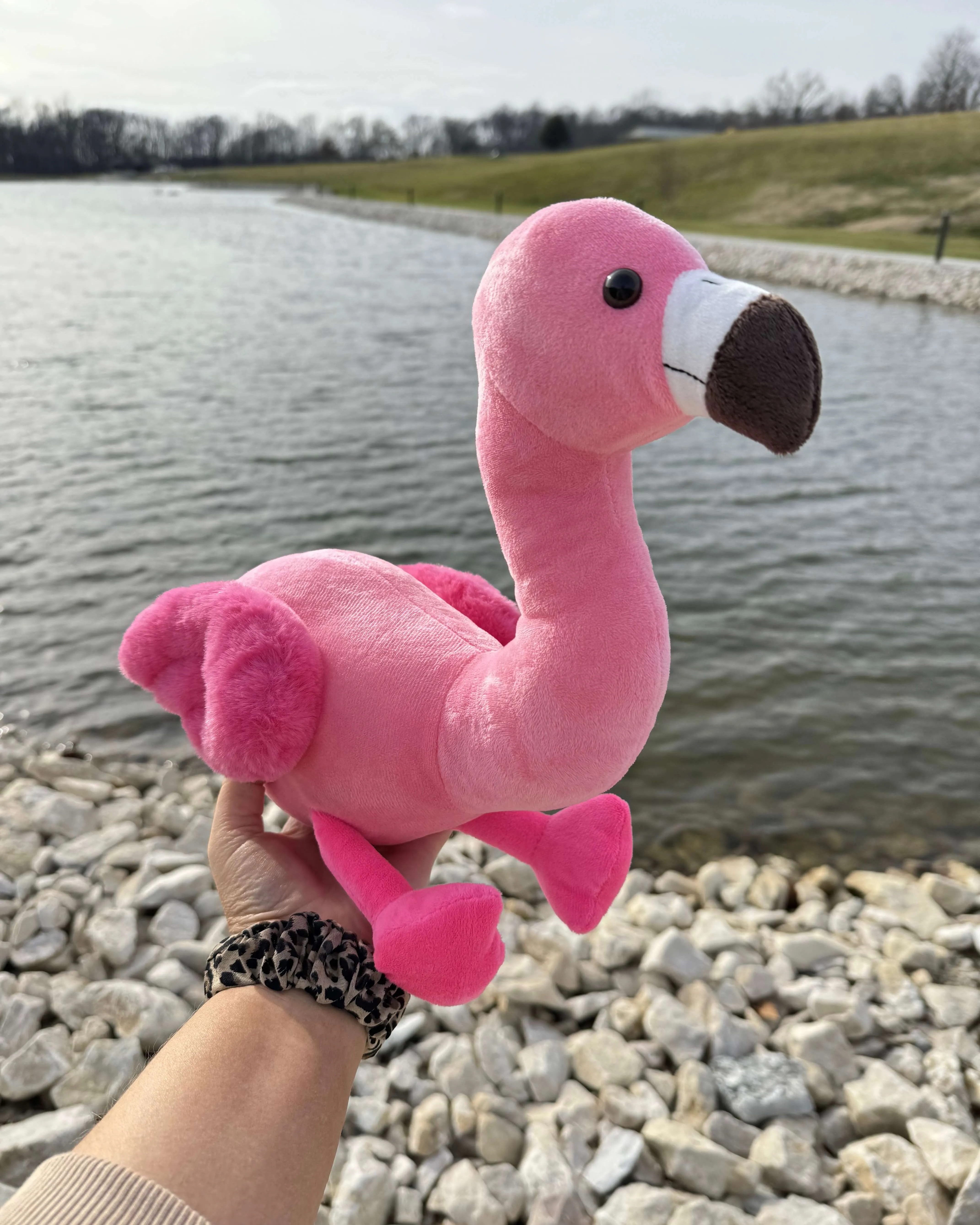 Faye the Flamingo 🦩