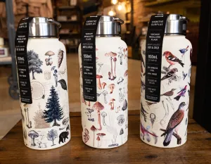 Insulated Water Bottles