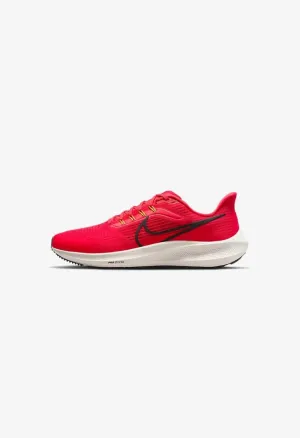 Nike Pegasus 39