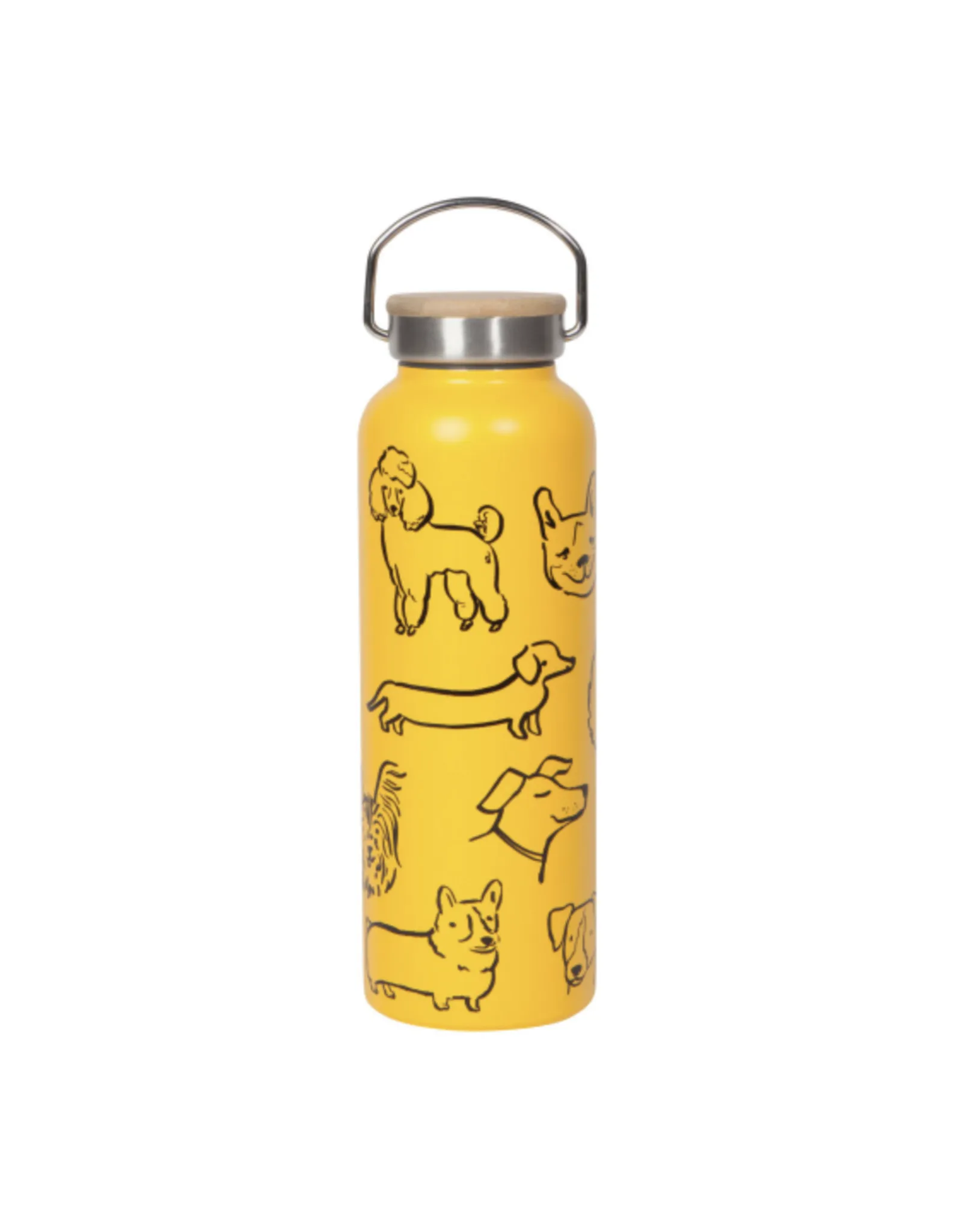 Water Bottle Dog Park